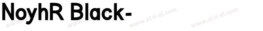 NoyhR Black字体转换 NoyhR Black字体转换
